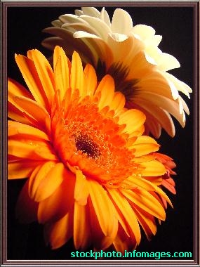 Feel free to right click to save as desktop background.